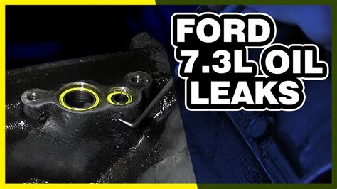 ford fusion oil leak|Found Oil Leaking